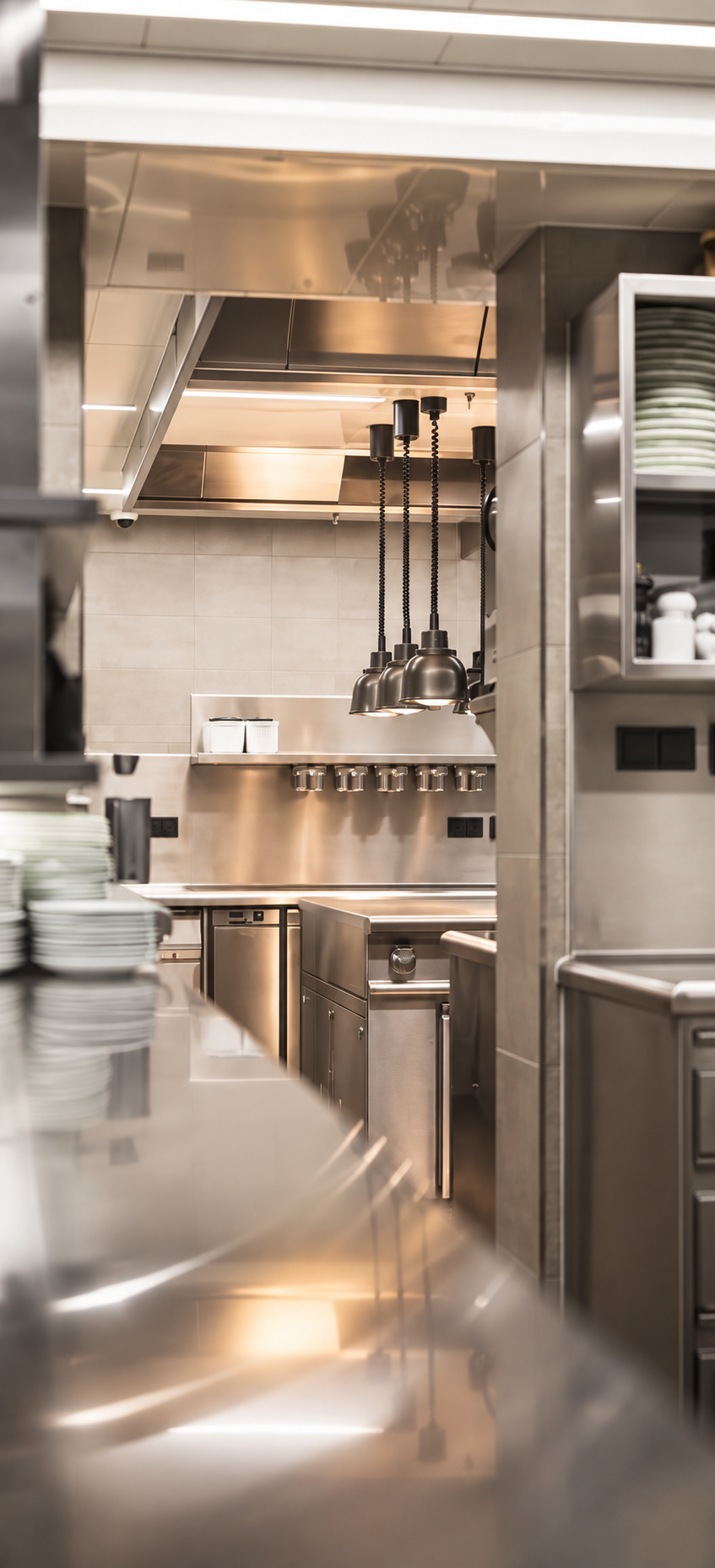 Cucina professionale in acciaio inox